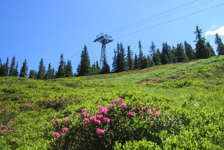 Ausflugsziel in Flachau - Wagrain